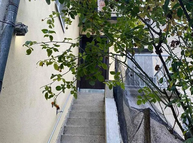 Apartament апартмент 27 юли 2